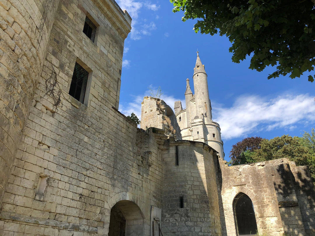 Donjon de Septmonts景点图片