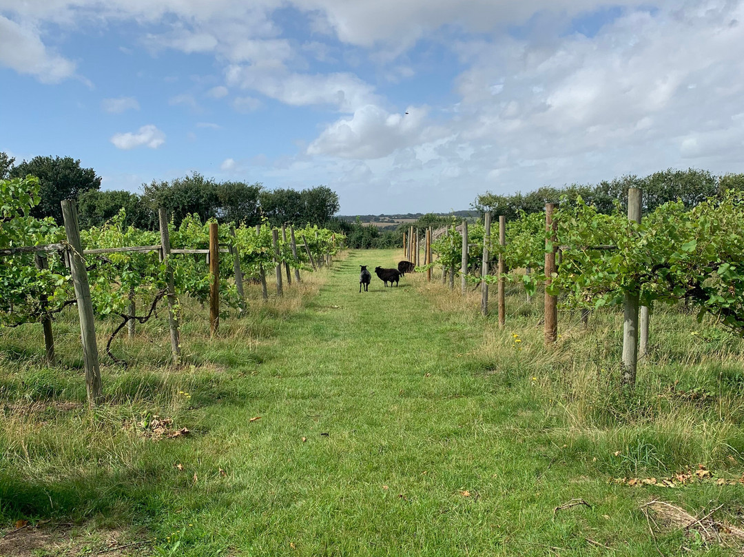 Giffords Hall Vineyard-Hartest必去景点