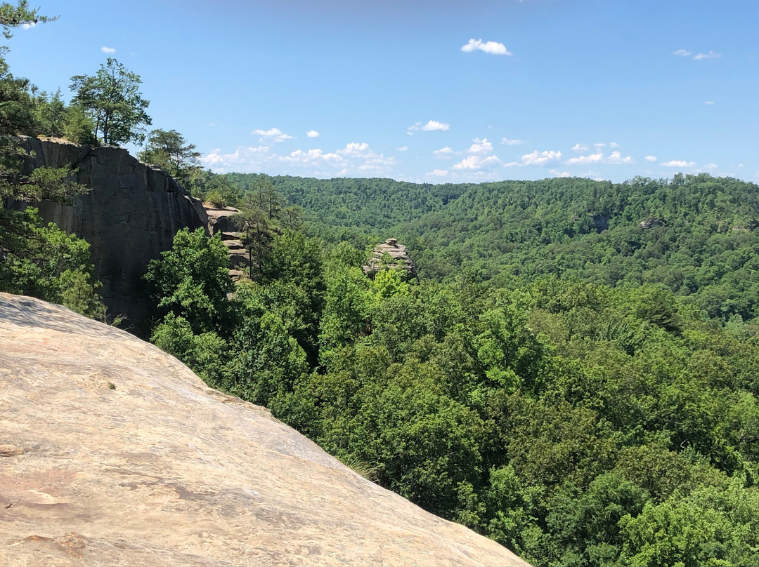 Auxier Ridge Trail #204景点图片