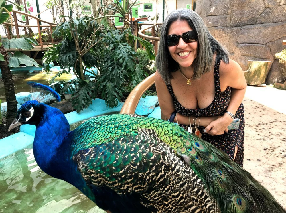 Parque Lincoln-墨西哥城必去景点