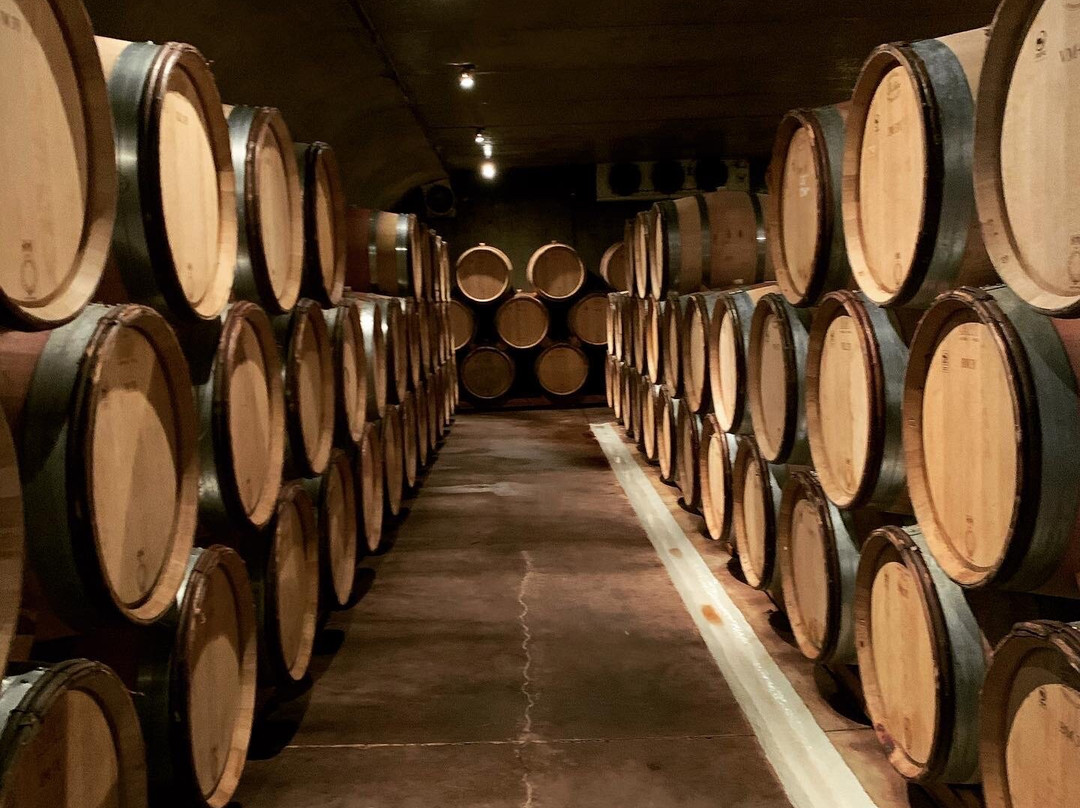 Felton Road Wines-克伦威尔镇必去景点