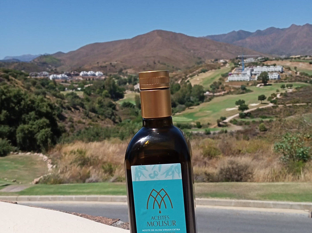 Aceites Molisur-Alhaurin el Grande必去景点