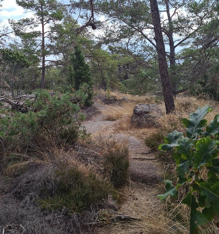 Blå Jungfrun Nationalpark-厄兰岛必去景点