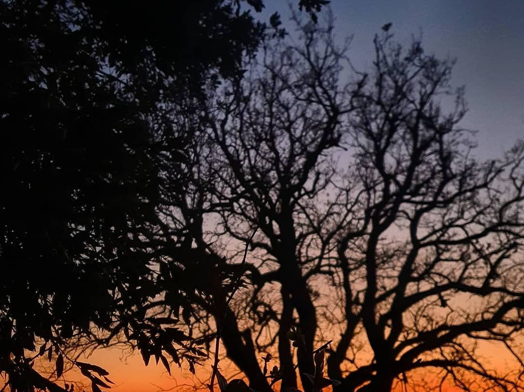 Ripabianca Agriturismo di Charme主图