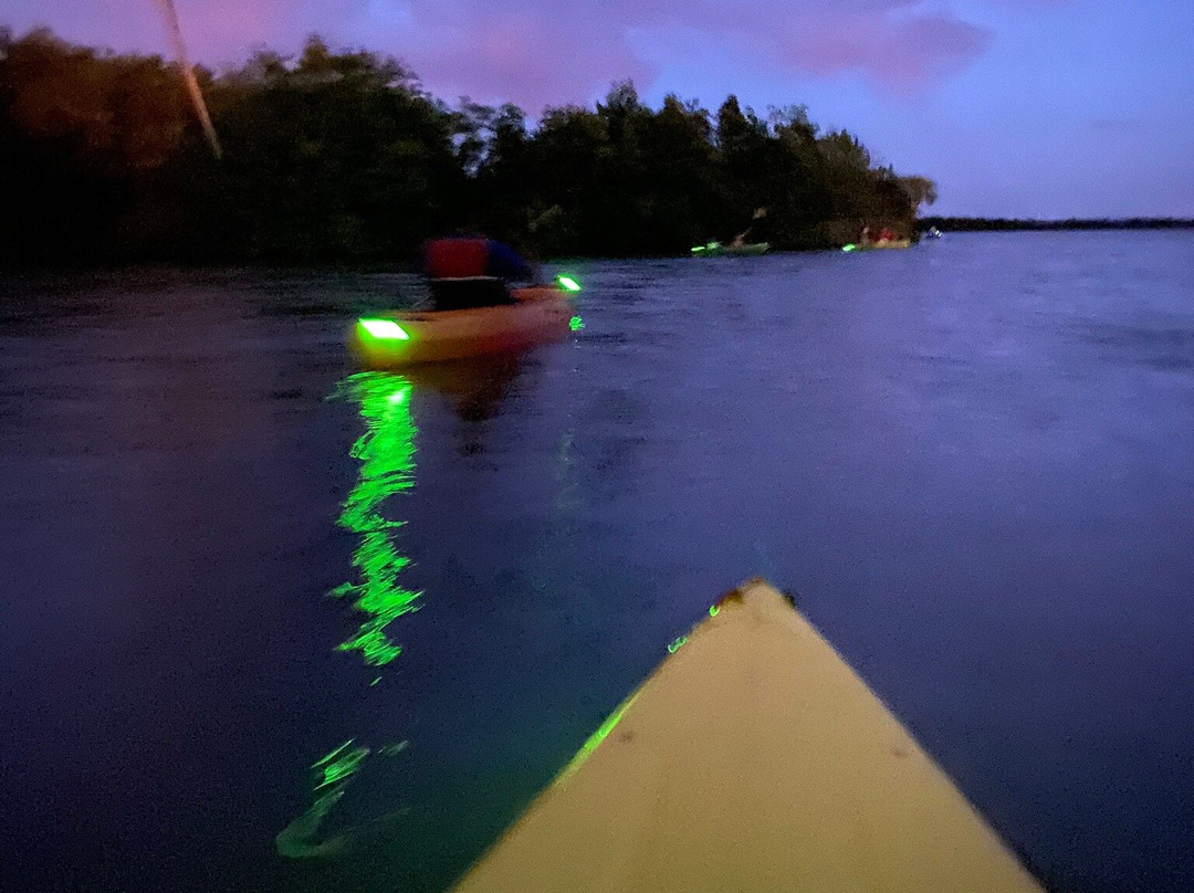 Adventure Kayak of Cocoa Beach景点图片