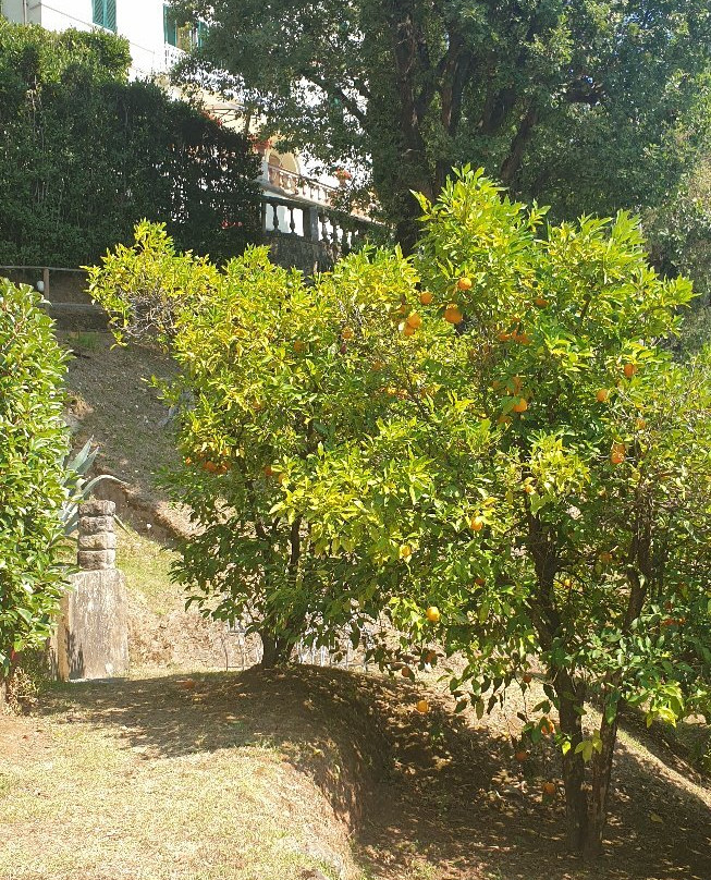 Villa Alta主图