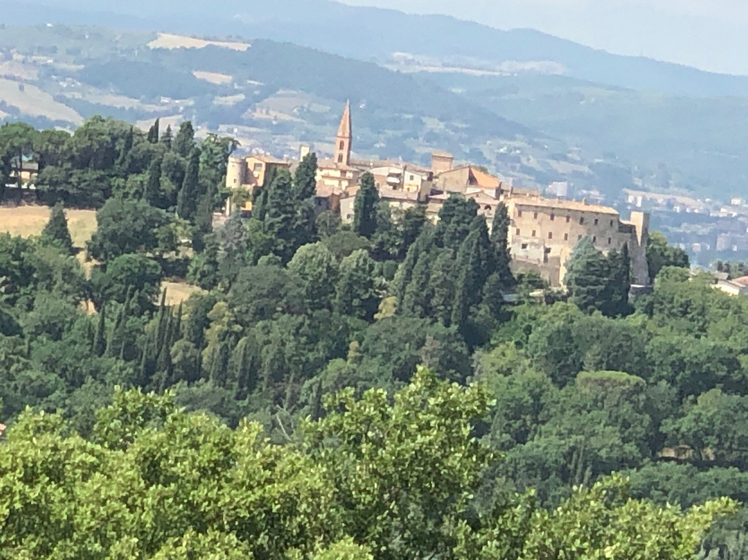 Agriturismo Le Cerque B&B主图