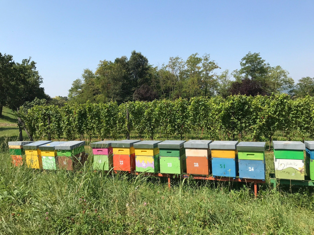 Cascina Belmonte景点图片