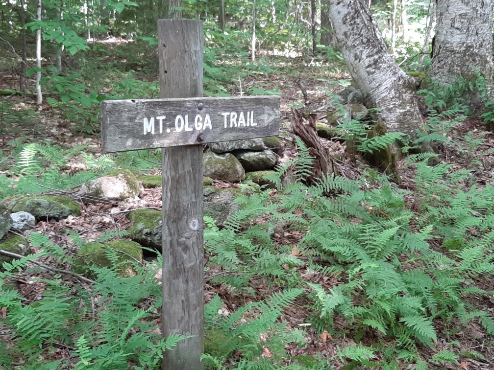 Molly Stark Trail-本宁顿必去景点