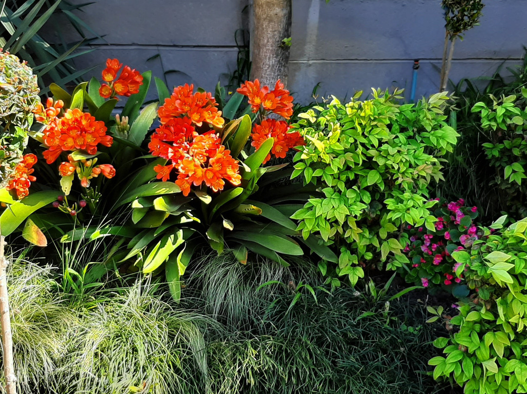 Eversview Guesthouse主图