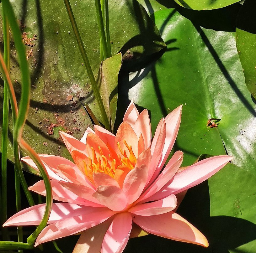 First Aliyah Museum-Zichron Yaakov必去景点