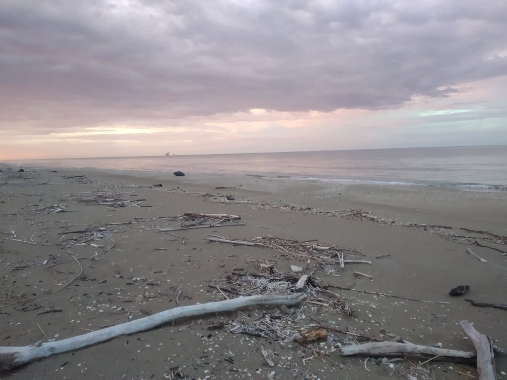 Spiaggia Libera Lido di Classe景点图片