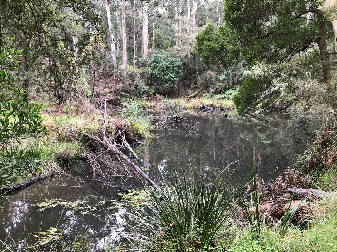 St Georges River Walk-洛恩必去景点