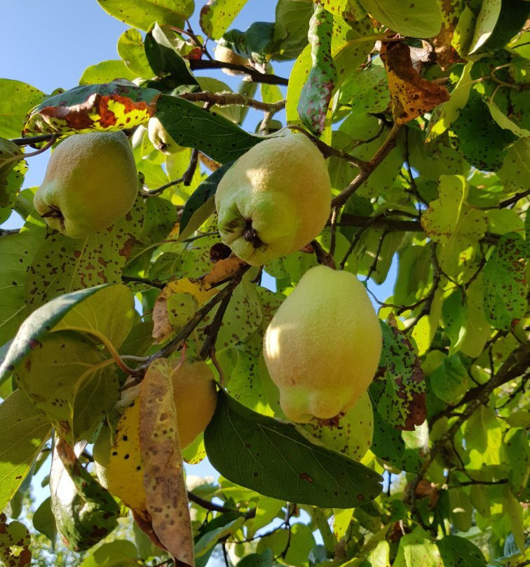 B&B Les Tranchees主图