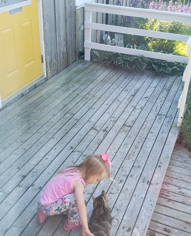 Hooking by the Sea - Brierwood Farm Retreat主图