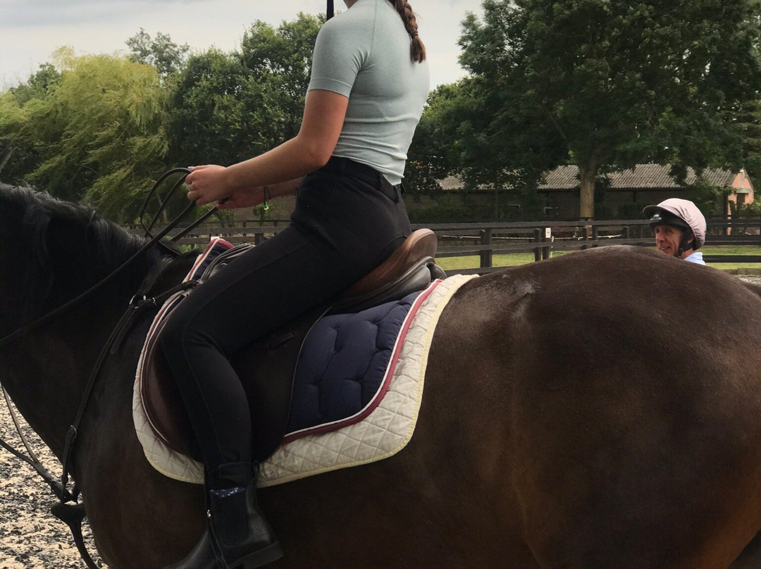 Marquis Equine景点图片