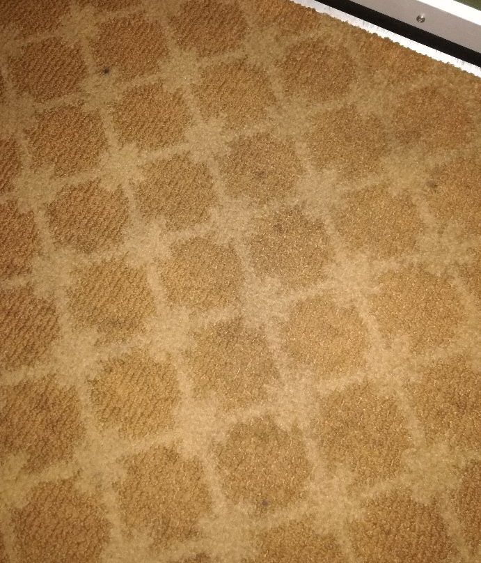 Country Inn & Suites by Radisson, Port Charlotte, FL主图