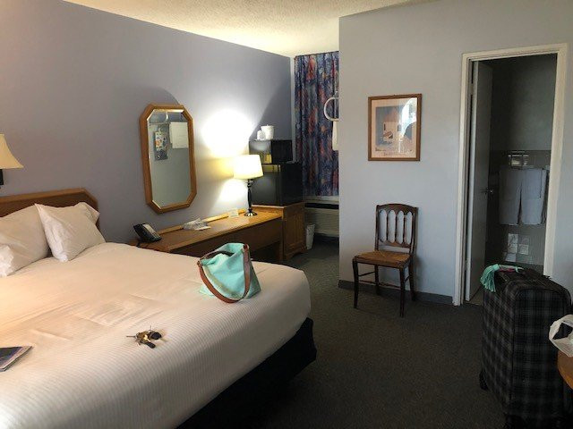 Carolina Motel主图