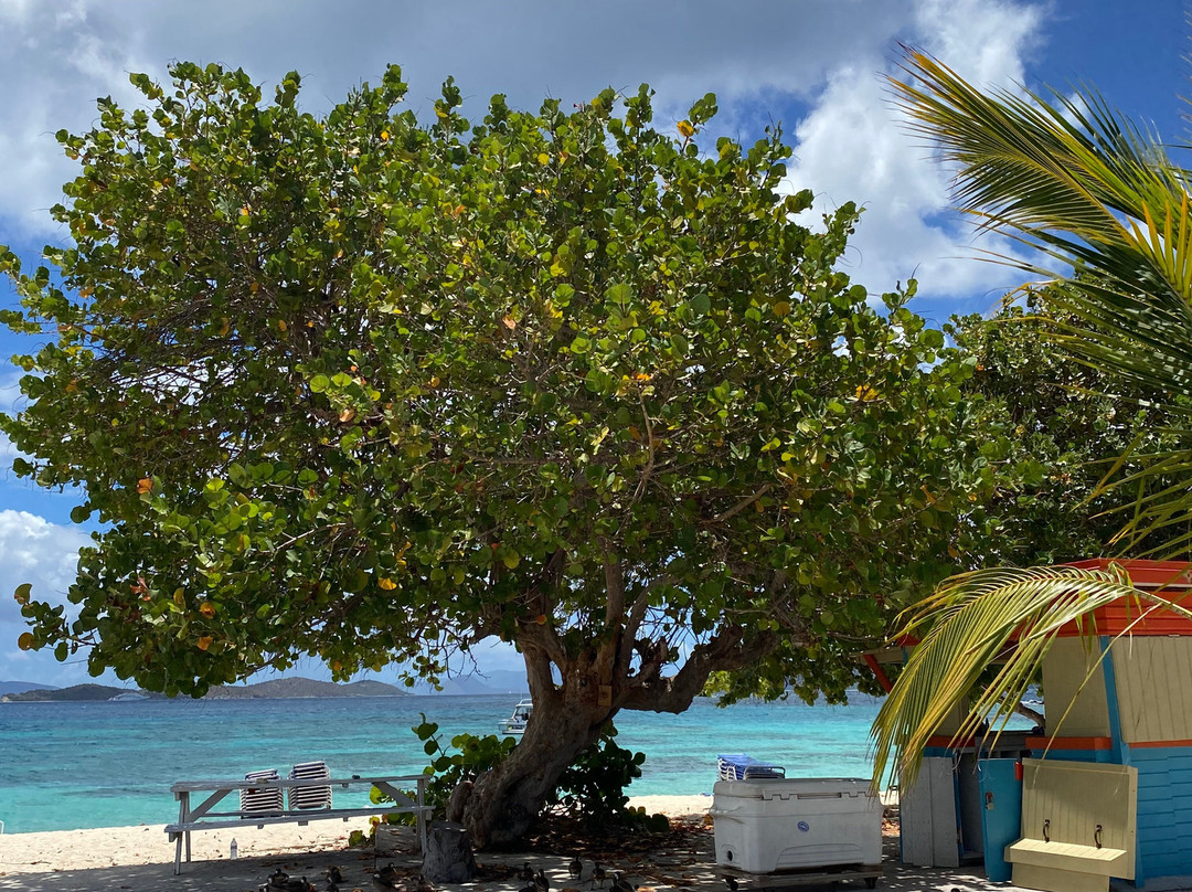 Sapphire Beach Resort主图