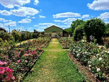 Terre de Rose Distillerie景点图片