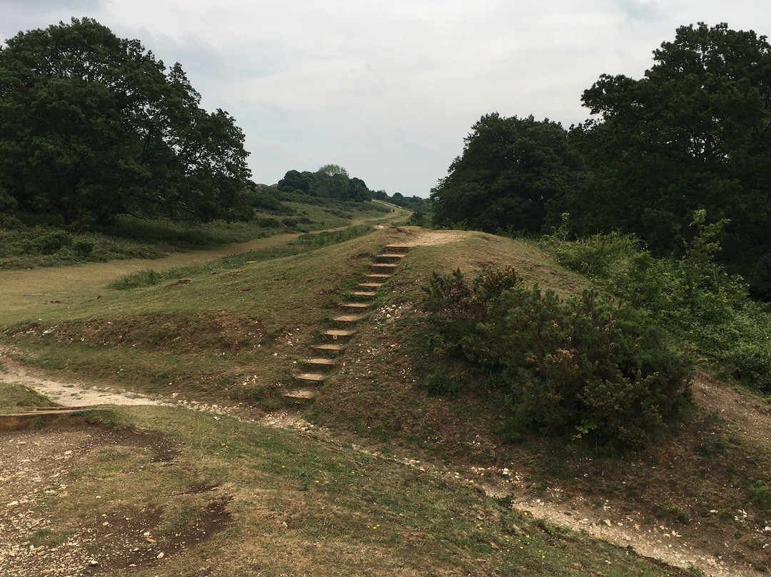 Cissbury Ring景点图片
