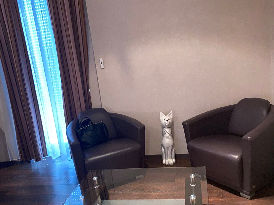 Hôtel de la Cloche主图