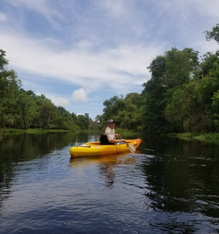 Wild Louisiana Kayak Swamp Tours景点图片