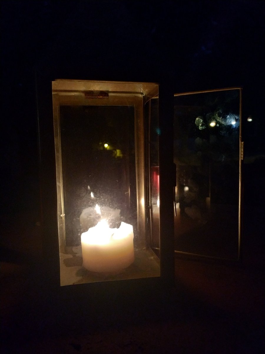 Paraiso Perdido-官方