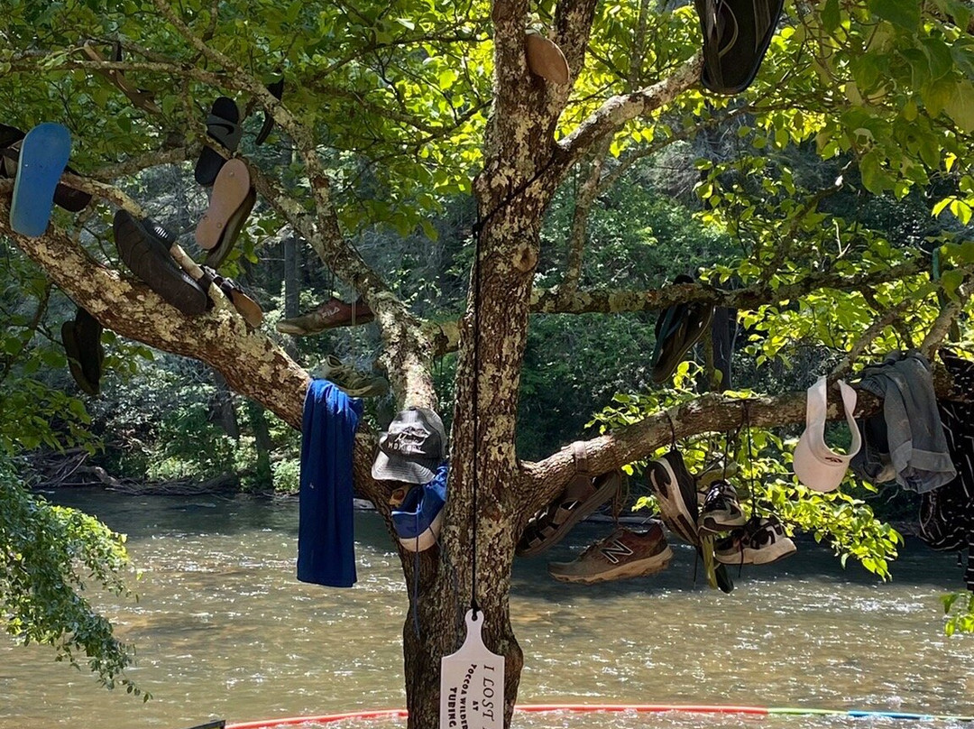 Blue Ridge Tubing景点图片