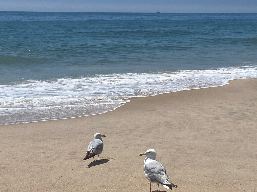 Main Beach-东汉普顿必去景点