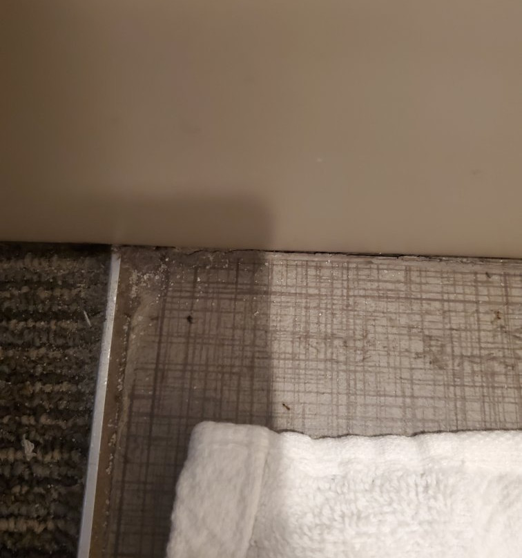 Hampton Inn Gulf Shores主图