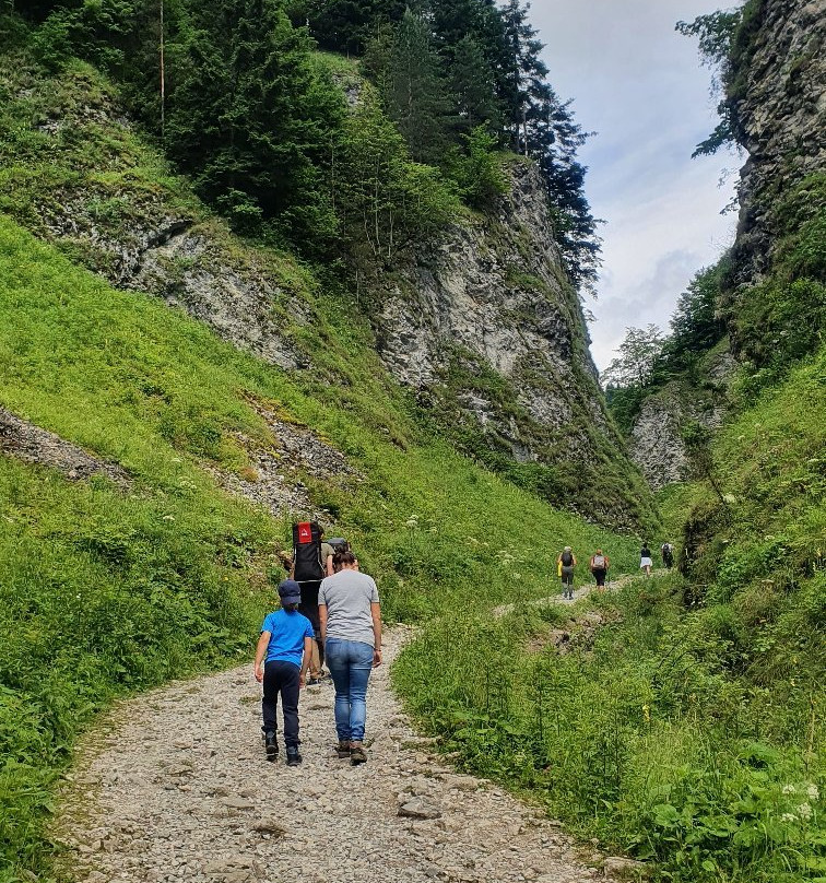 Szopczanski Gorge景点图片