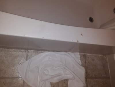 Apple Tree Inn主图