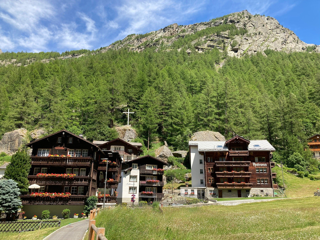 Hotel Alpenhof主图