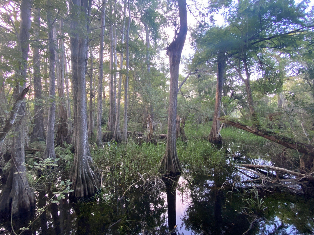 Kirby Storter Roadside Park-奥乔皮必去景点