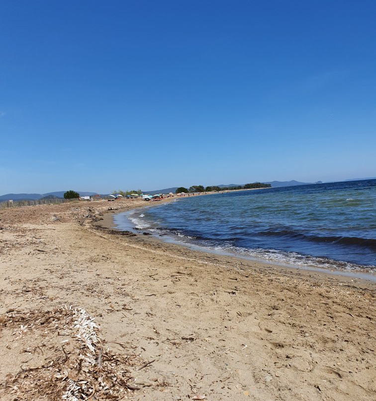 Plage des Salins-耶尔必去景点