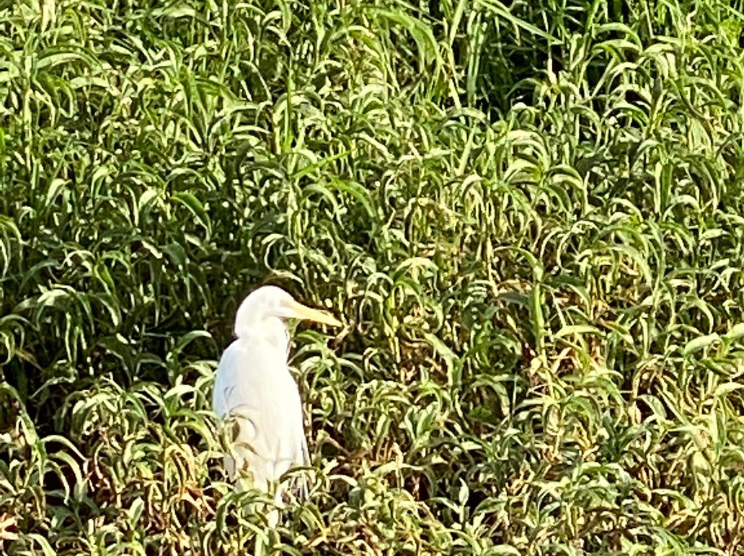 Hoods Lagoon-Clermont必去景点