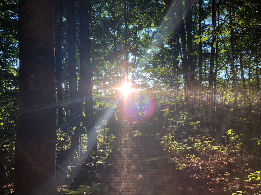 Sugar Ridge Retreat Centre主图