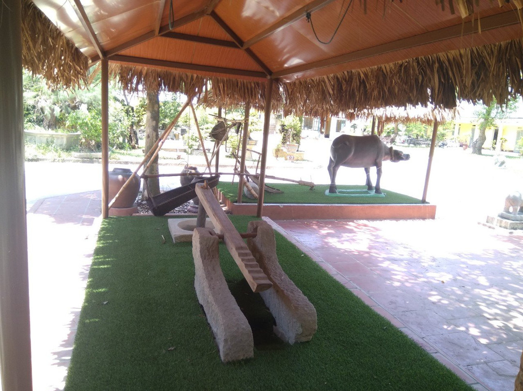 Museum of Thanh Hoa Province景点图片