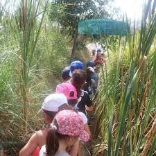 Parque Biomas景点图片