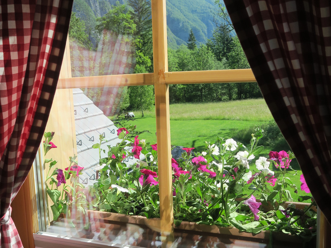 Chalet Apartments ALPIK主图