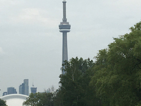 Tiki Taxi-多伦多必去景点