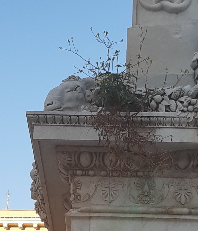 Monumento a Ferdinando III景点图片