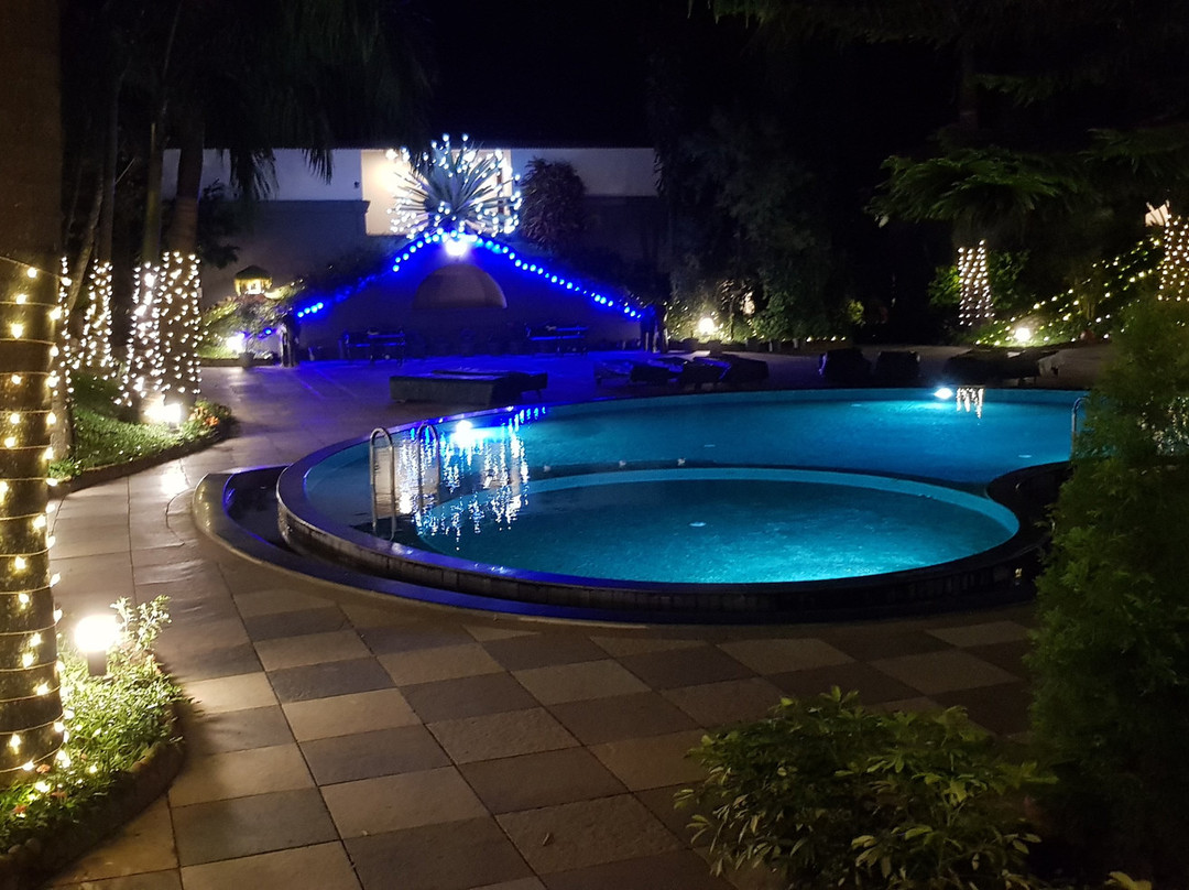 The Elephant Court主图