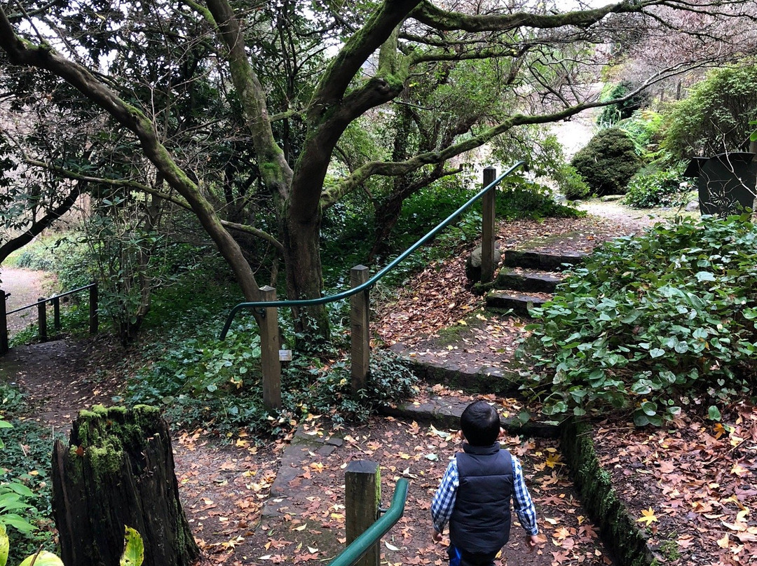 Pirianda Garden-奥林达必去景点