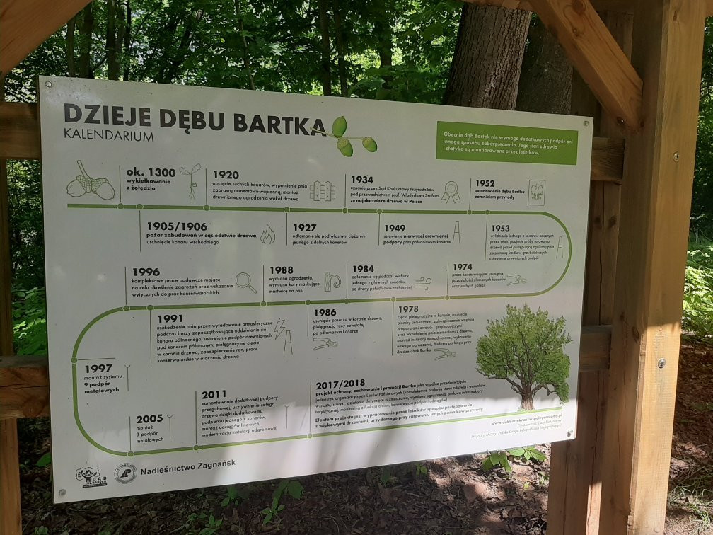 Bartek Oak Tree-Zagnansk必去景点