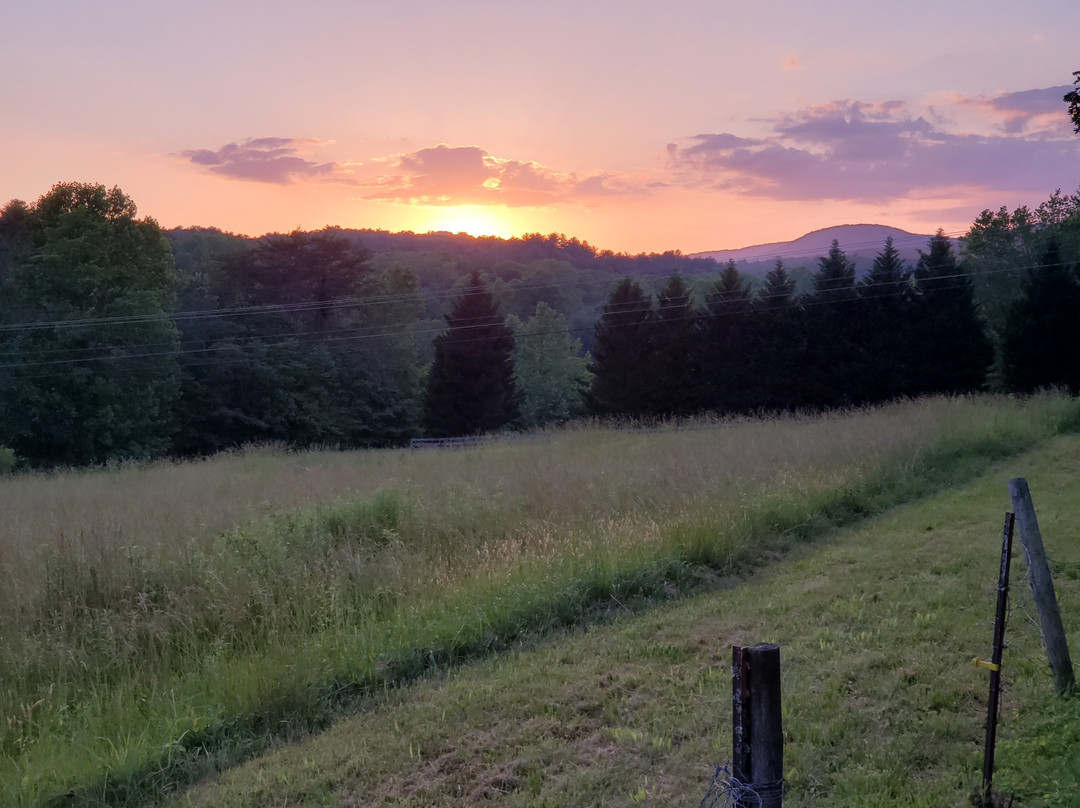 The Stovall House Inn & Events主图