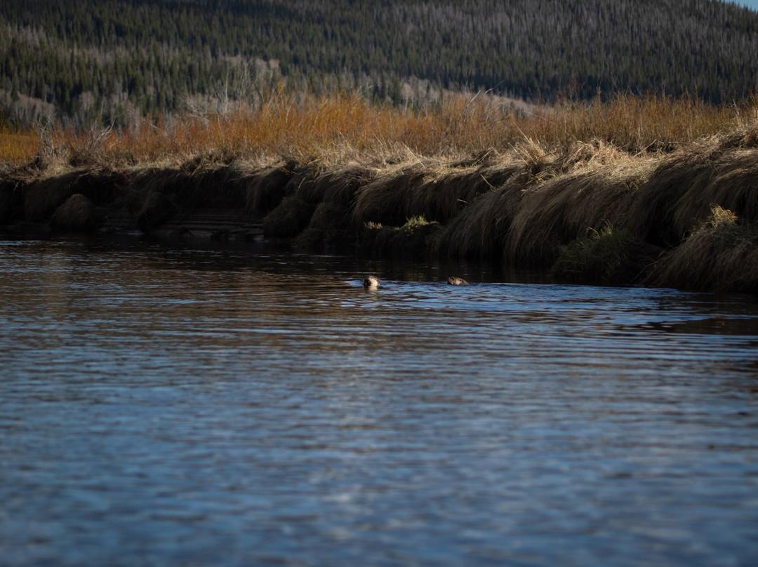 Wyoming Rivers Cooperative-科迪必去景点