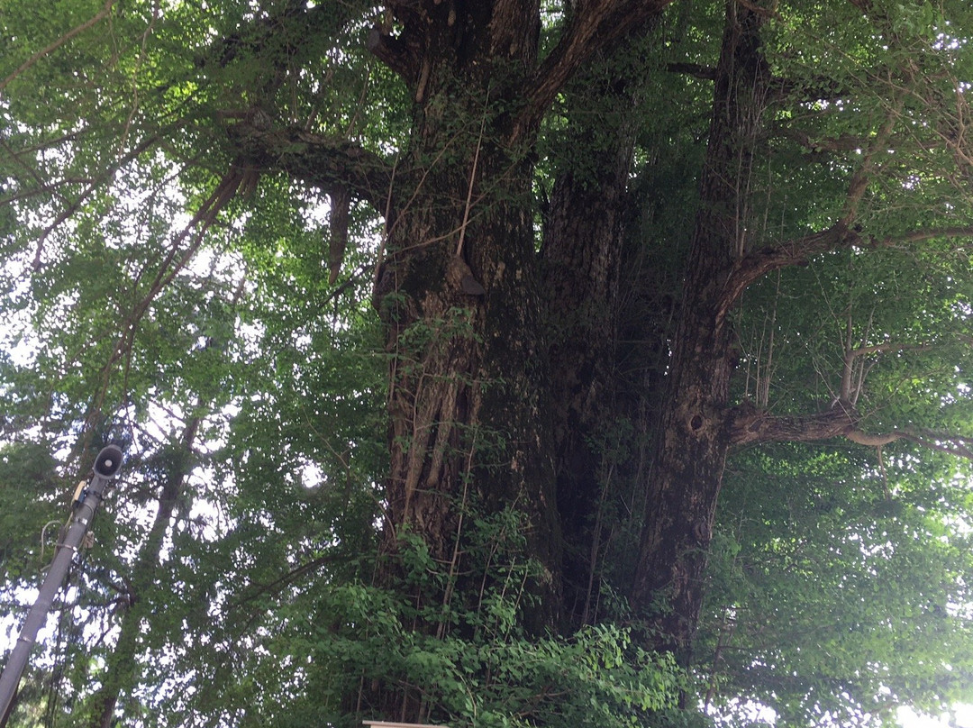 Takayama Fdoson (Jorakuin)-饭能市必去景点