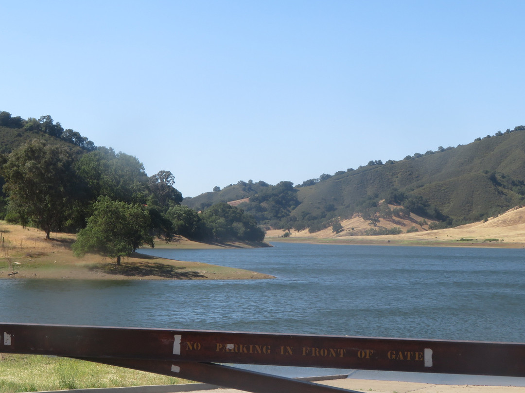 Uvas Canyon County Park-摩根希尔必去景点
